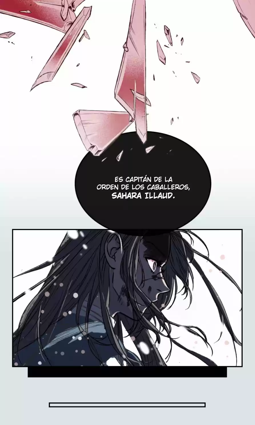 A LOS CUERVOS LES GUSTA LAS COSAS BRILLANTES - Capítulo - Página 7 - LectorTMOo