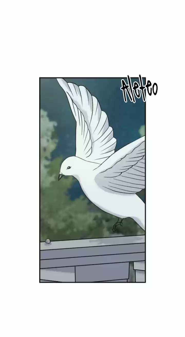 A LOS CUERVOS LES GUSTA LAS COSAS BRILLANTES - Capítulo 21 - Página 71 - LectorTMOo