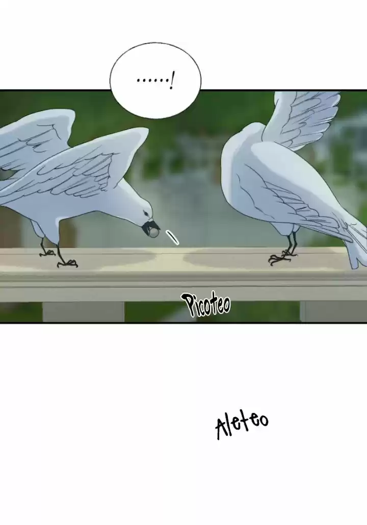 A LOS CUERVOS LES GUSTA LAS COSAS BRILLANTES - Capítulo 22 - Página 18 - LectorTMOo