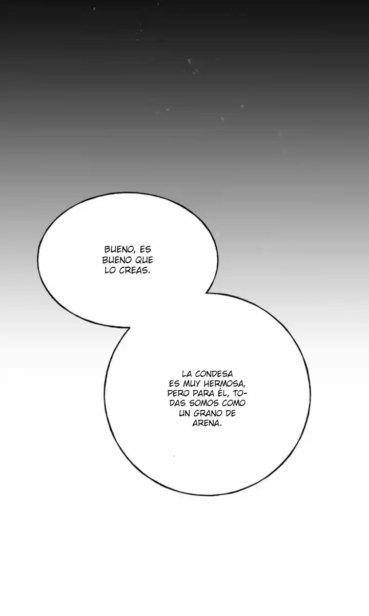 A LOS CUERVOS LES GUSTA LAS COSAS BRILLANTES - Capítulo 27 - Página 33 - LectorTMOo