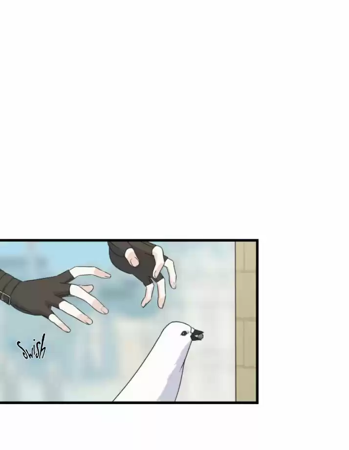 A LOS CUERVOS LES GUSTA LAS COSAS BRILLANTES - Capítulo 34 - Página 16 - LectorTMOo