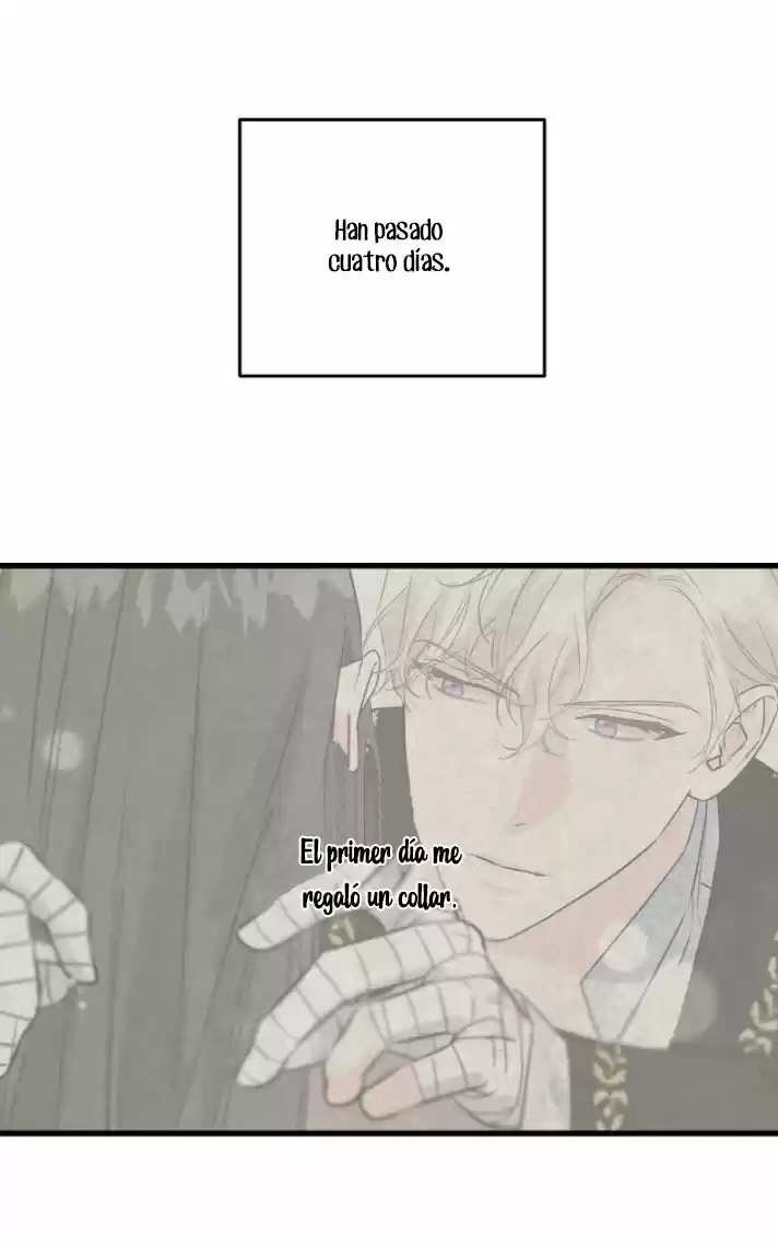 A LOS CUERVOS LES GUSTA LAS COSAS BRILLANTES - Capítulo 42 - Página 29 - LectorTMOo