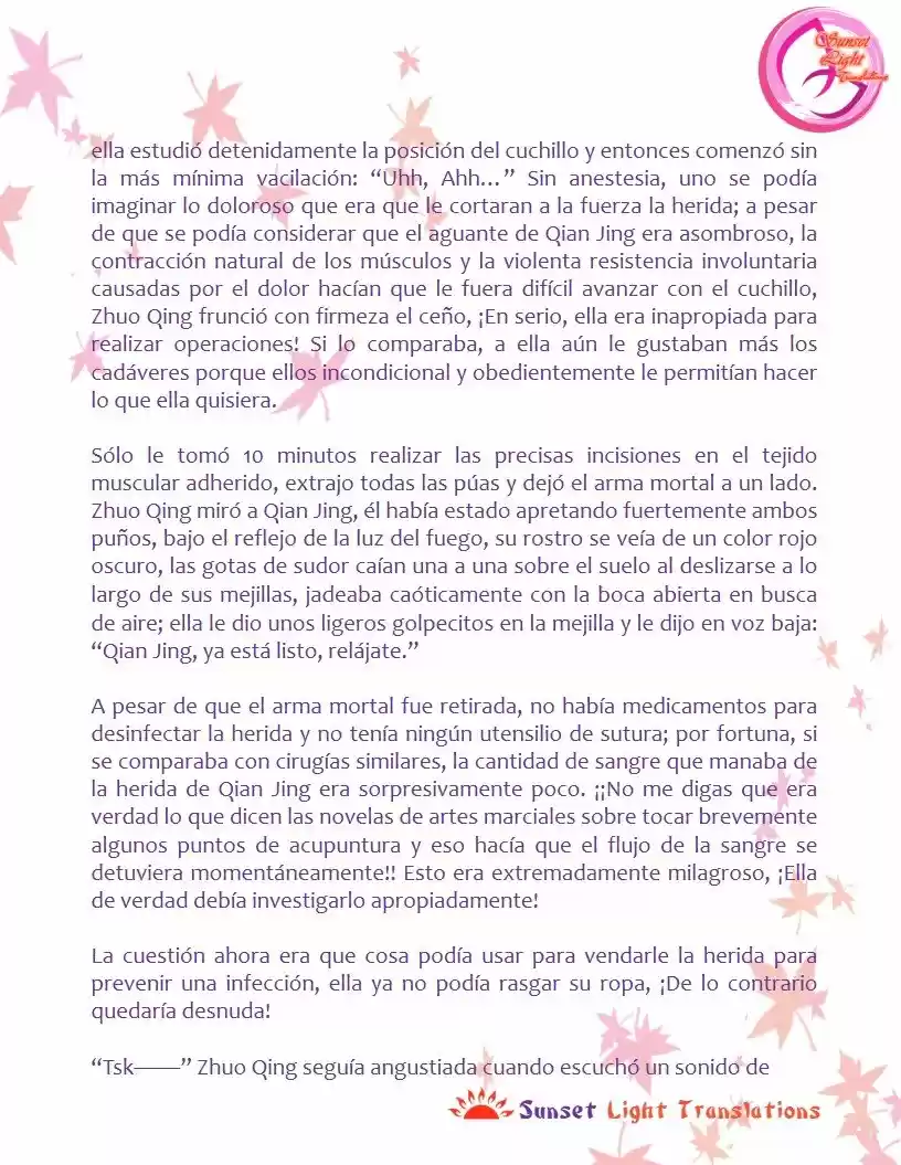 A Mistaken Marriage Match 1: Record Of Washed Grievances (Novela) - Capítulo 33 - Página 9 - LectorTMOo