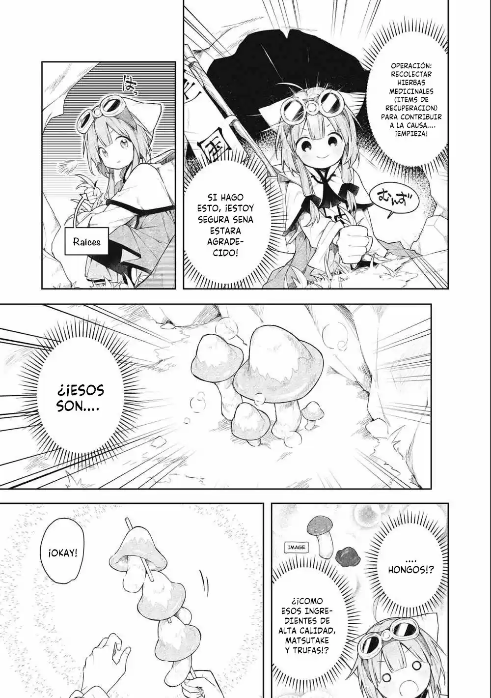 A Ruined Princess And Alternate World Hero Make A Great Country! - Capítulo 1.10 - Página 15 - LectorTMOo