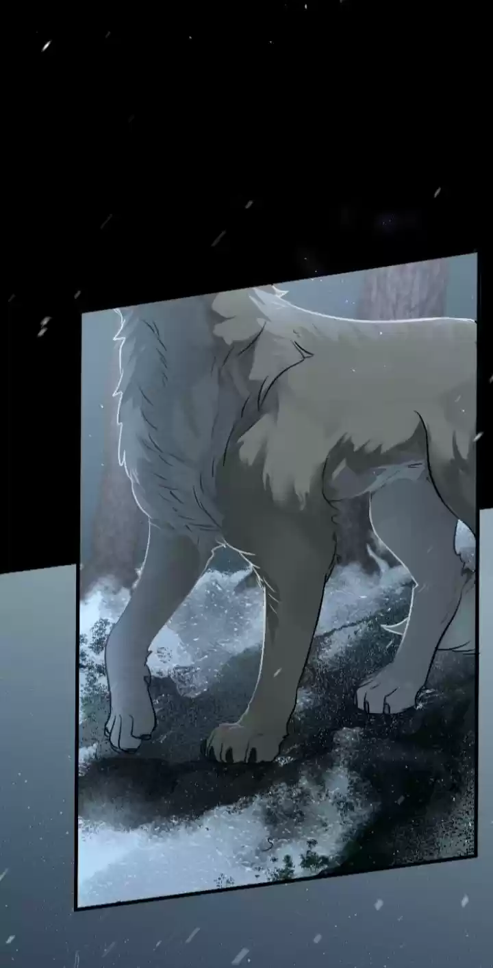 A Werewolf Boy - Capítulo 1.20 - Página 5 - LectorTMOo