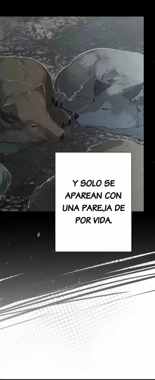 A Werewolf Boy - Capítulo 1.20 - Página 11 - LectorTMOo