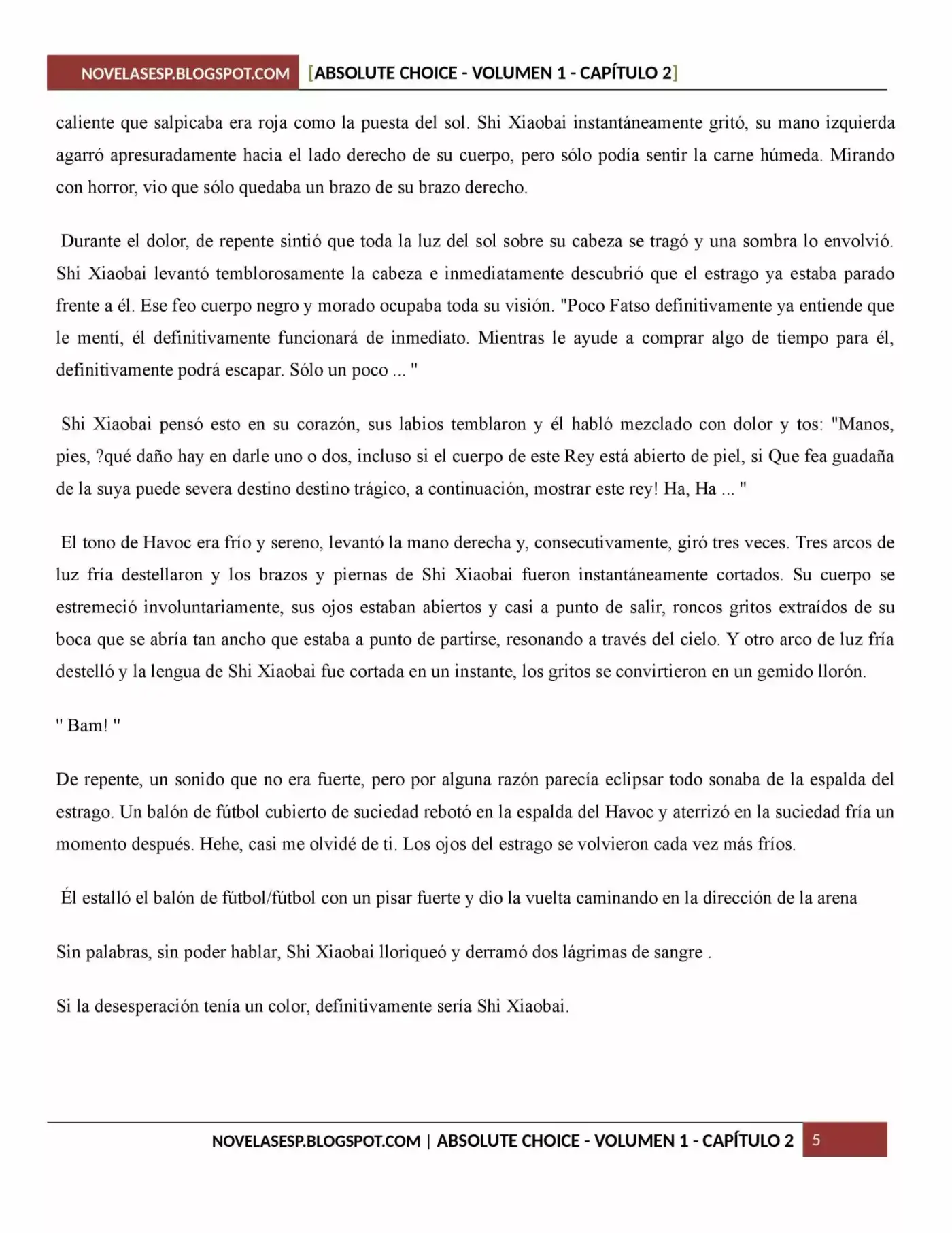 Absolute Choice (Novela) - Capítulo 2 - Página 5 - LectorTMOo