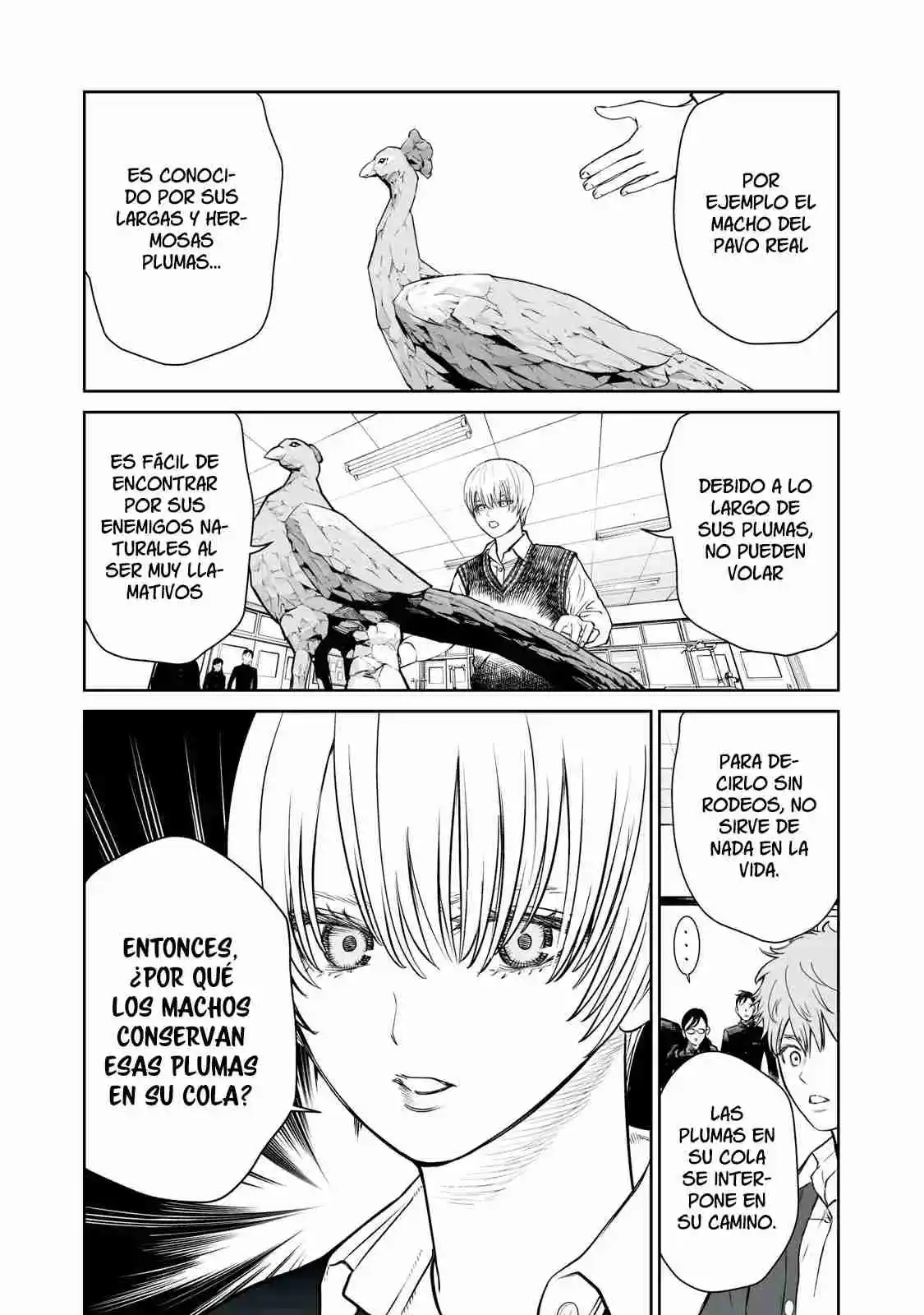 Akumade Kujaku No Hanashi Desu - Capítulo 1 - Página 27 - LectorTMOo