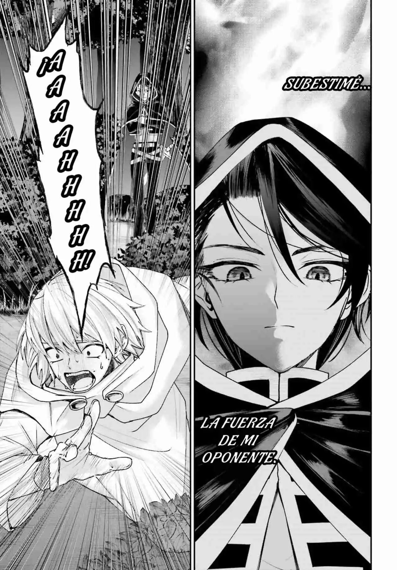 Akuyaku Kizoku to shite Hitsuyou na Sore capítulo 17 página 23