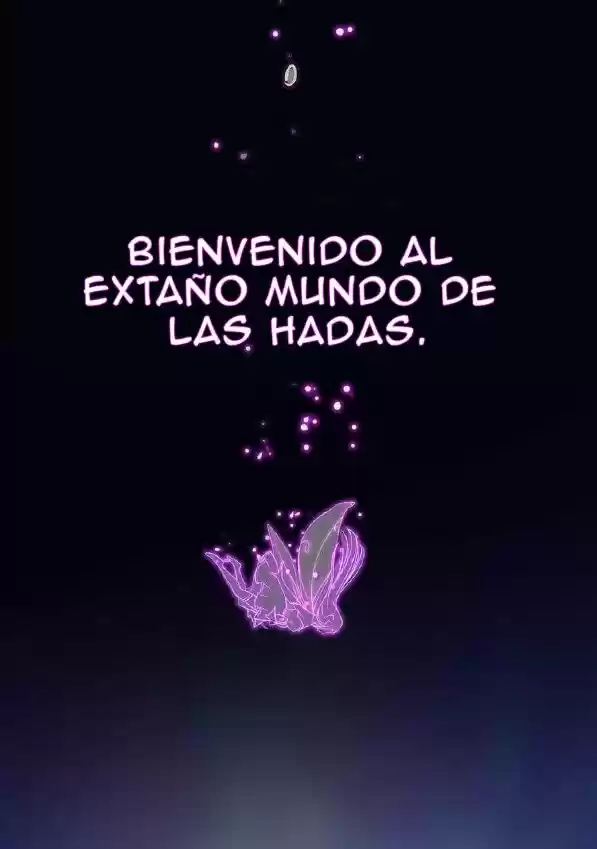 ARMAMENTO DE HADAS - Capítulo  - Página 8 - LectorTMOo