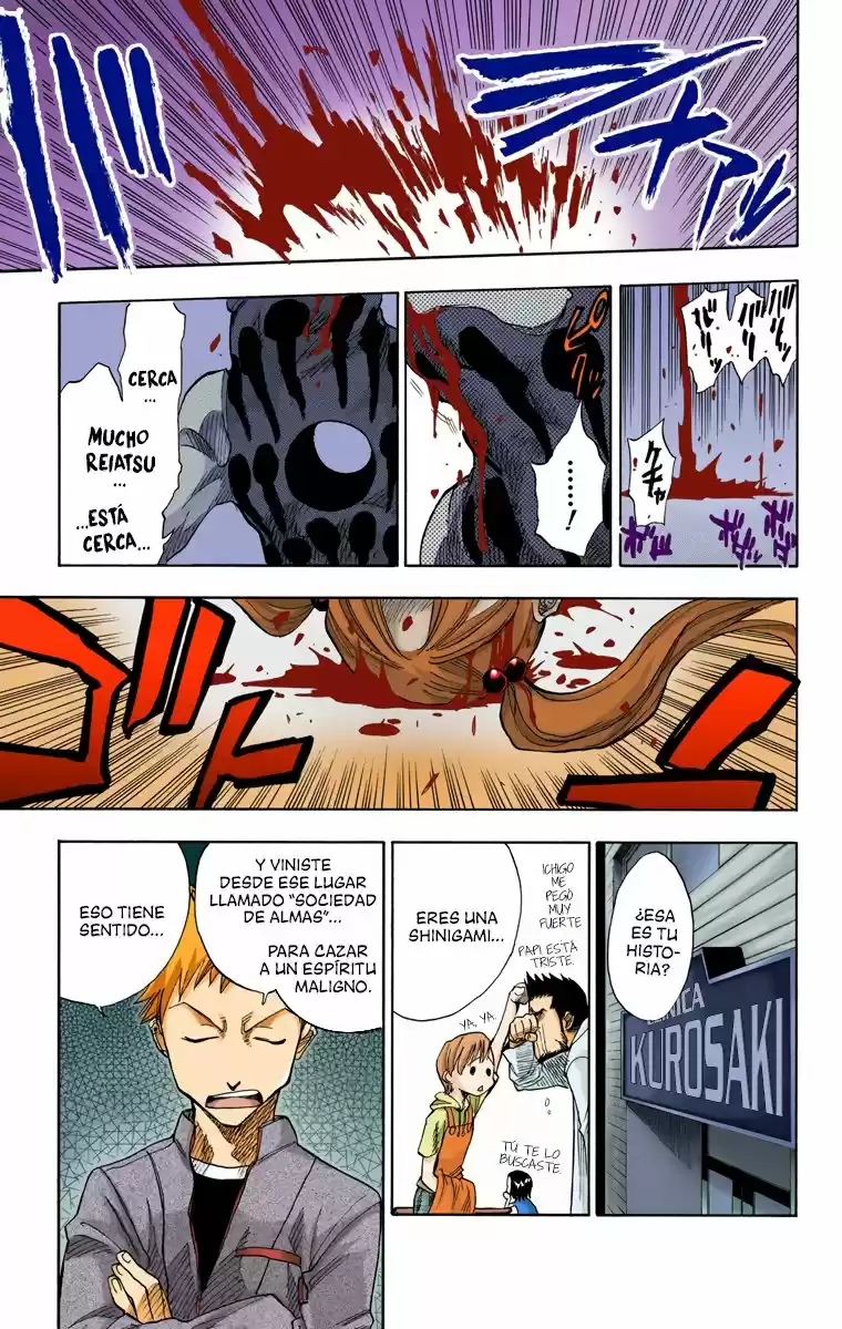 Bleach Full Color - Capítulo 1 - Página 17 - LectorTMOo