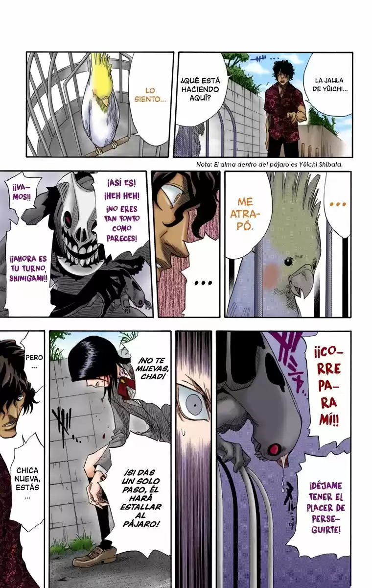 Bleach Full Color - Capítulo 10 - Página 13 - LectorTMOo