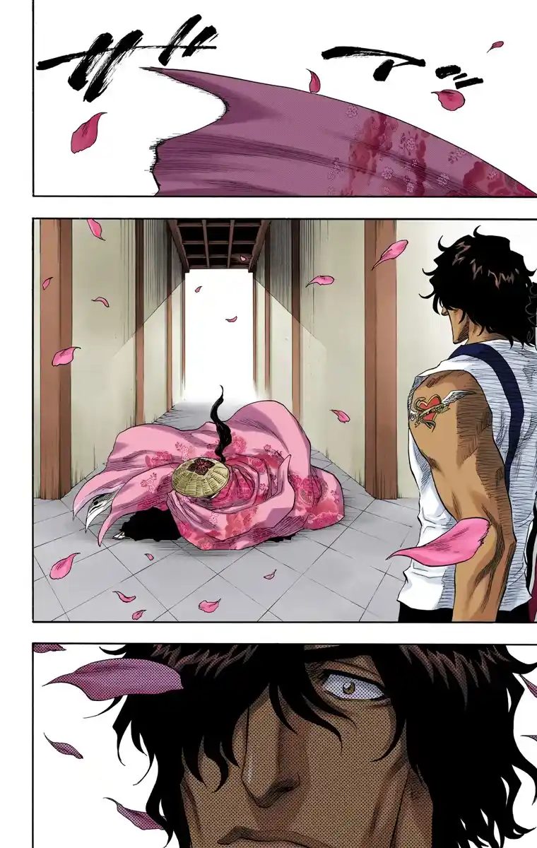 Bleach Full Color - Capítulo 105 - Página 17 - LectorTMOo