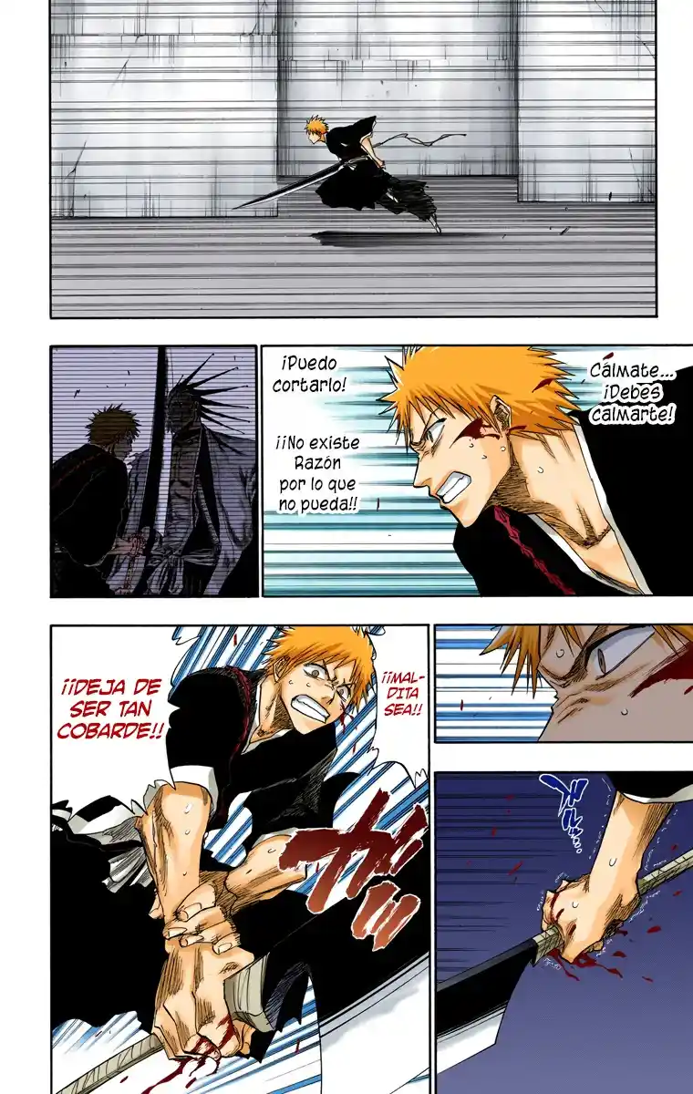 Bleach Full Color - Capítulo 108 - Página 17 - LectorTMOo