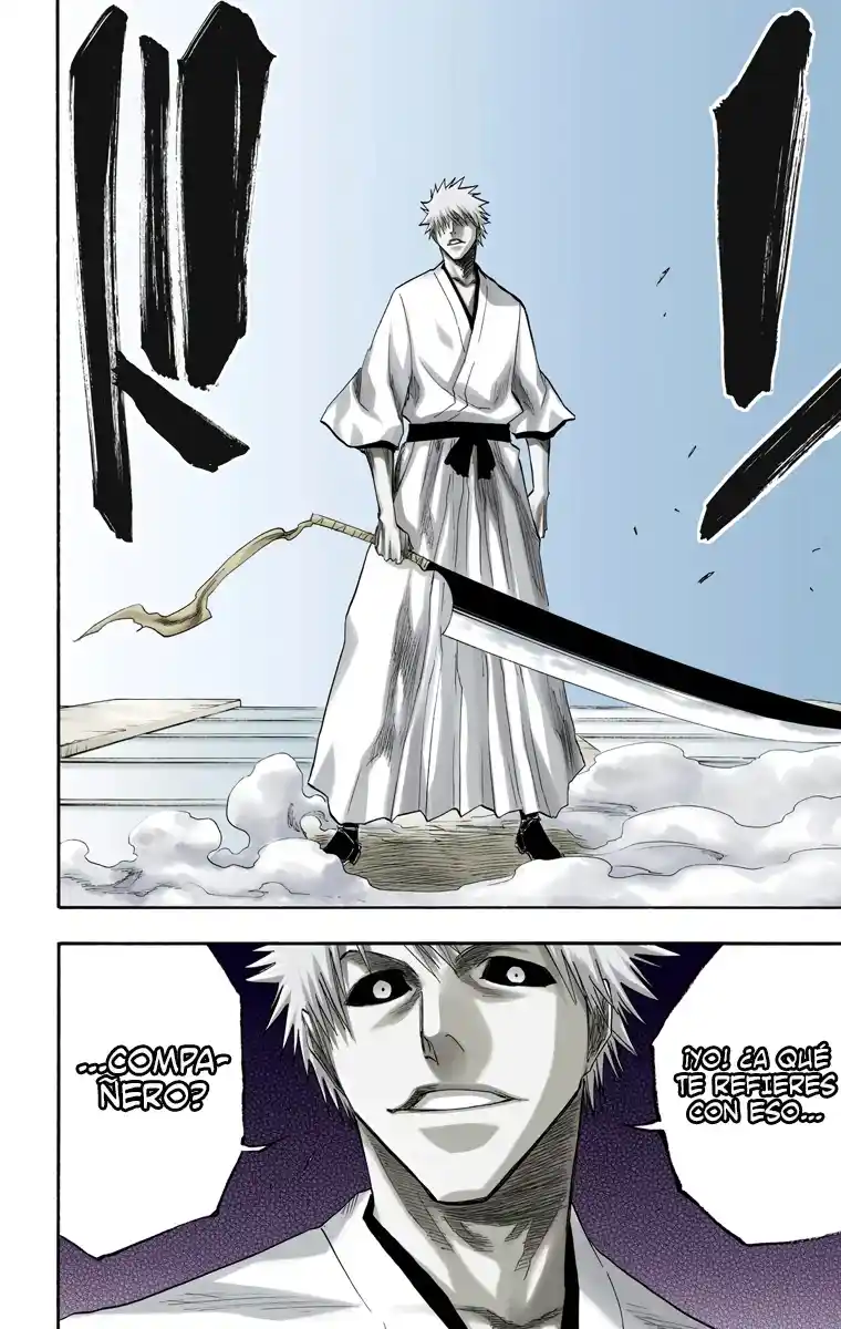 Bleach Full Color - Capítulo 110 - Página 19 - LectorTMOo
