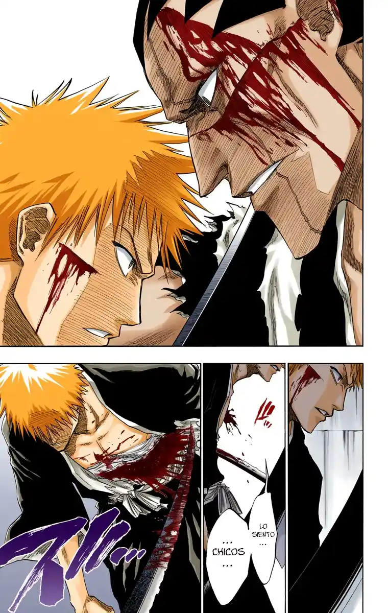 Bleach Full Color - Capítulo 113 - Página 17 - LectorTMOo
