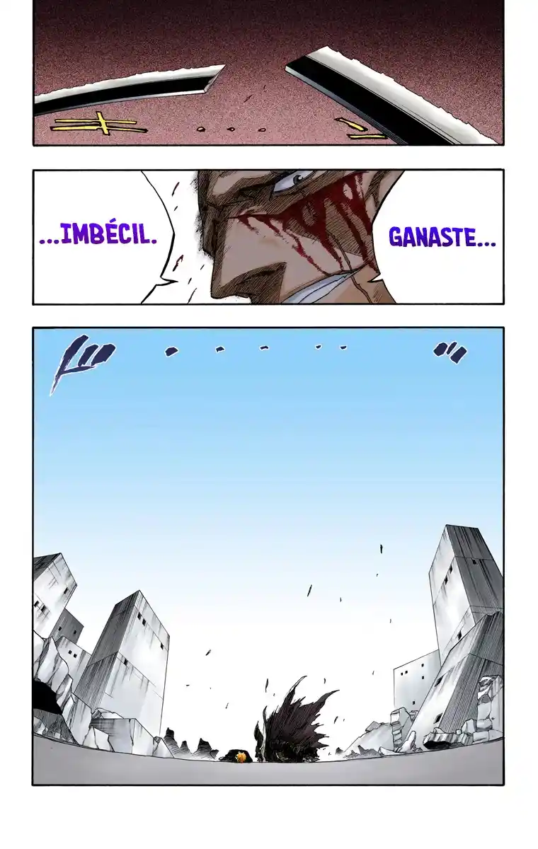 Bleach Full Color - Capítulo 113 - Página 19 - LectorTMOo