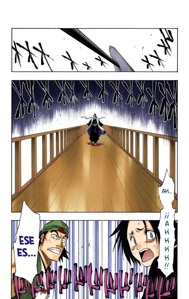 Bleach Full Color - Capítulo 116 - Página 9 - LectorTMOo