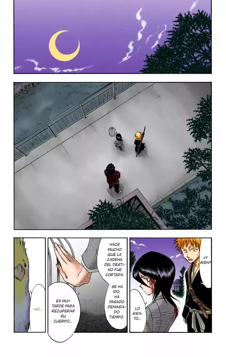 Bleach Full Color - Capítulo 12 - Página 13 - LectorTMOo