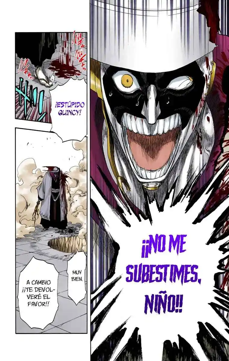 Bleach Full Color - Capítulo 125 - Página 13 - LectorTMOo
