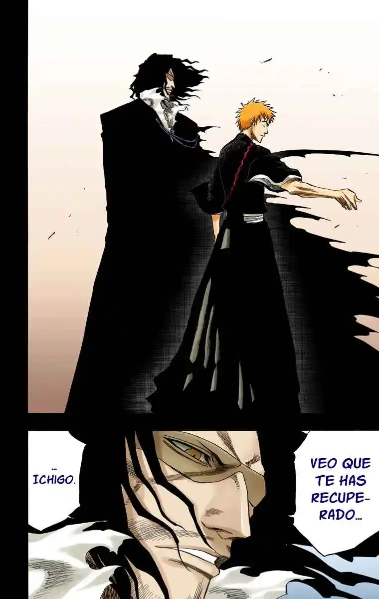 Bleach Full Color - Capítulo 127 - Página 9 - LectorTMOo