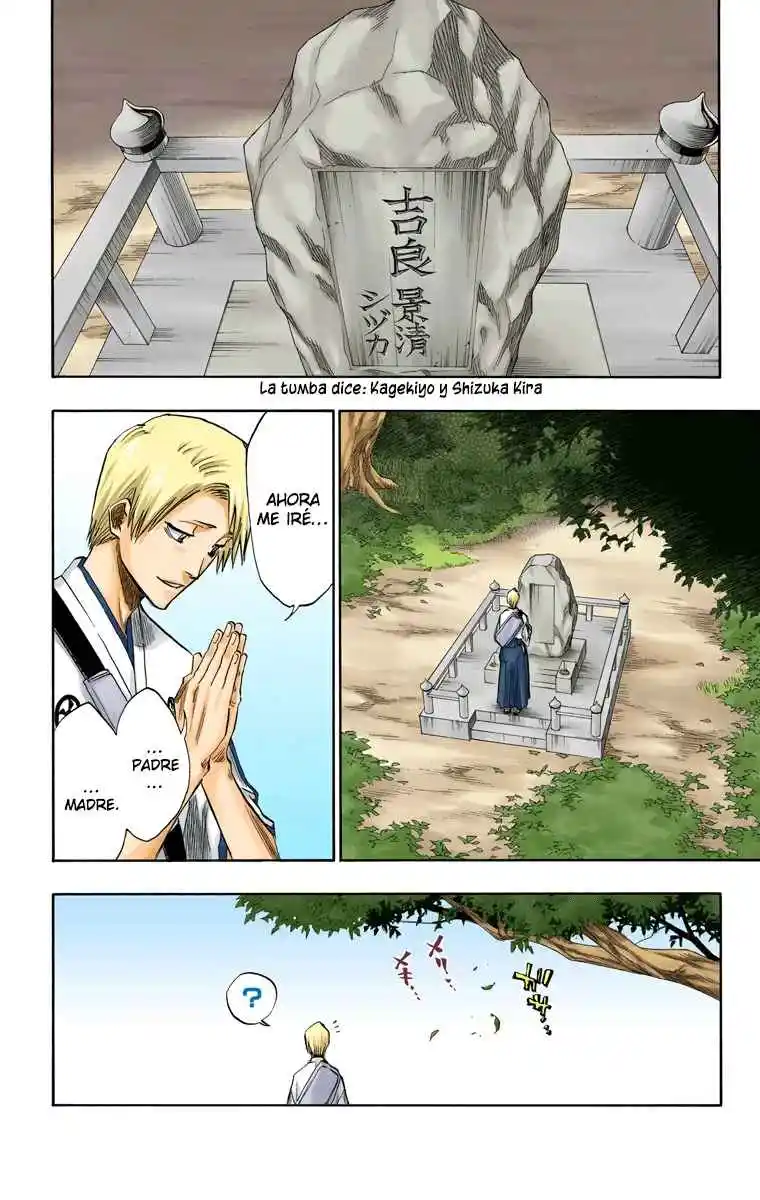 Bleach Full Color - Capítulo 130.50 - Página 5 - LectorTMOo