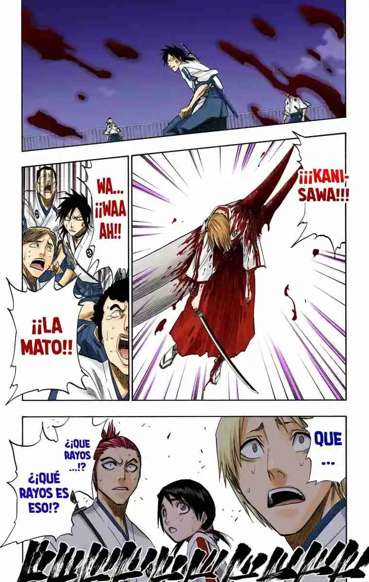 Bleach Full Color - Capítulo 130.50 - Página 18 - LectorTMOo