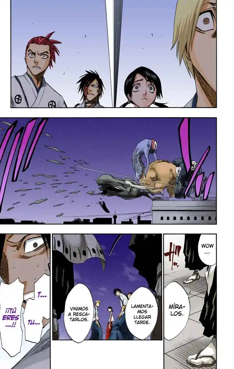 Bleach Full Color - Capítulo 130.50 - Página 29 - LectorTMOo