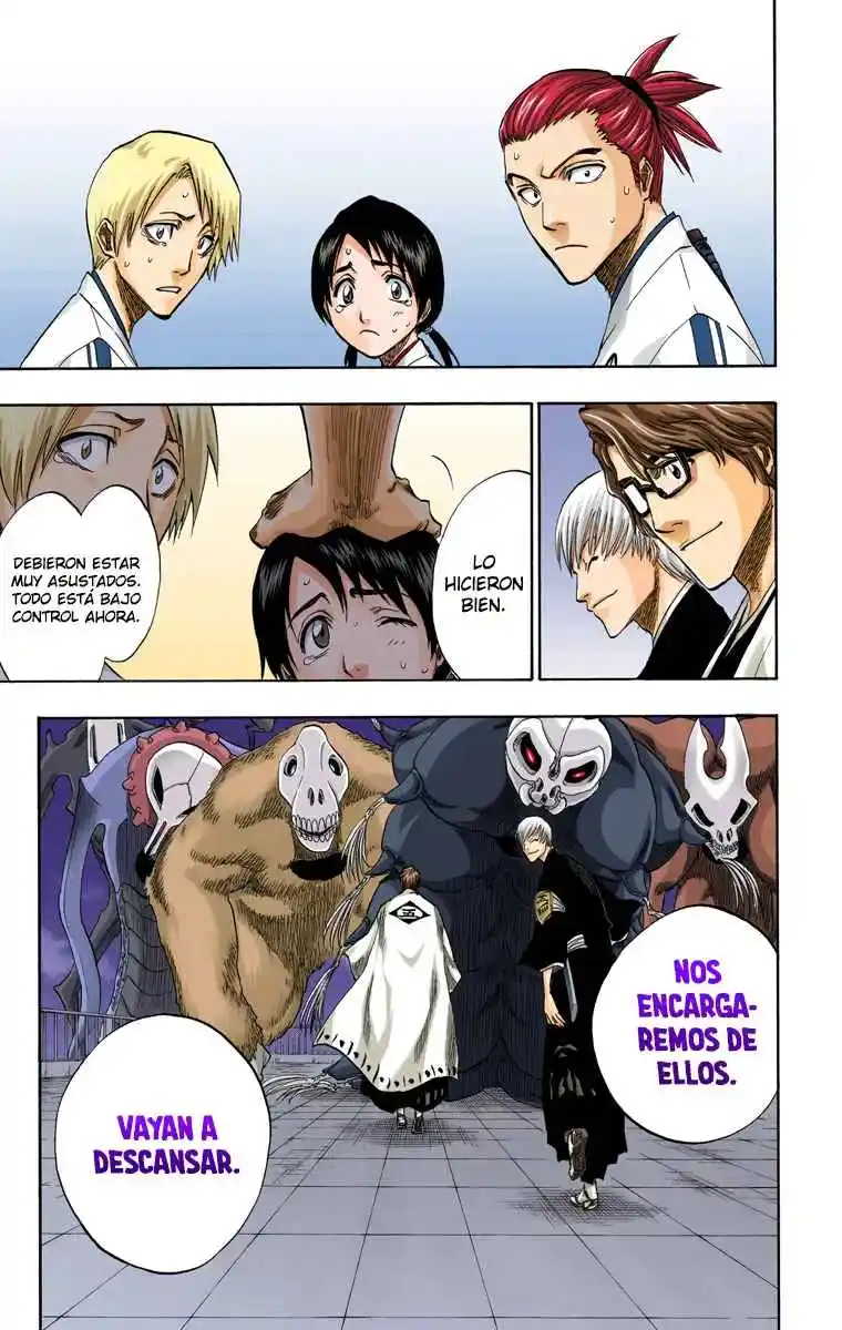 Bleach Full Color - Capítulo 130.50 - Página 31 - LectorTMOo