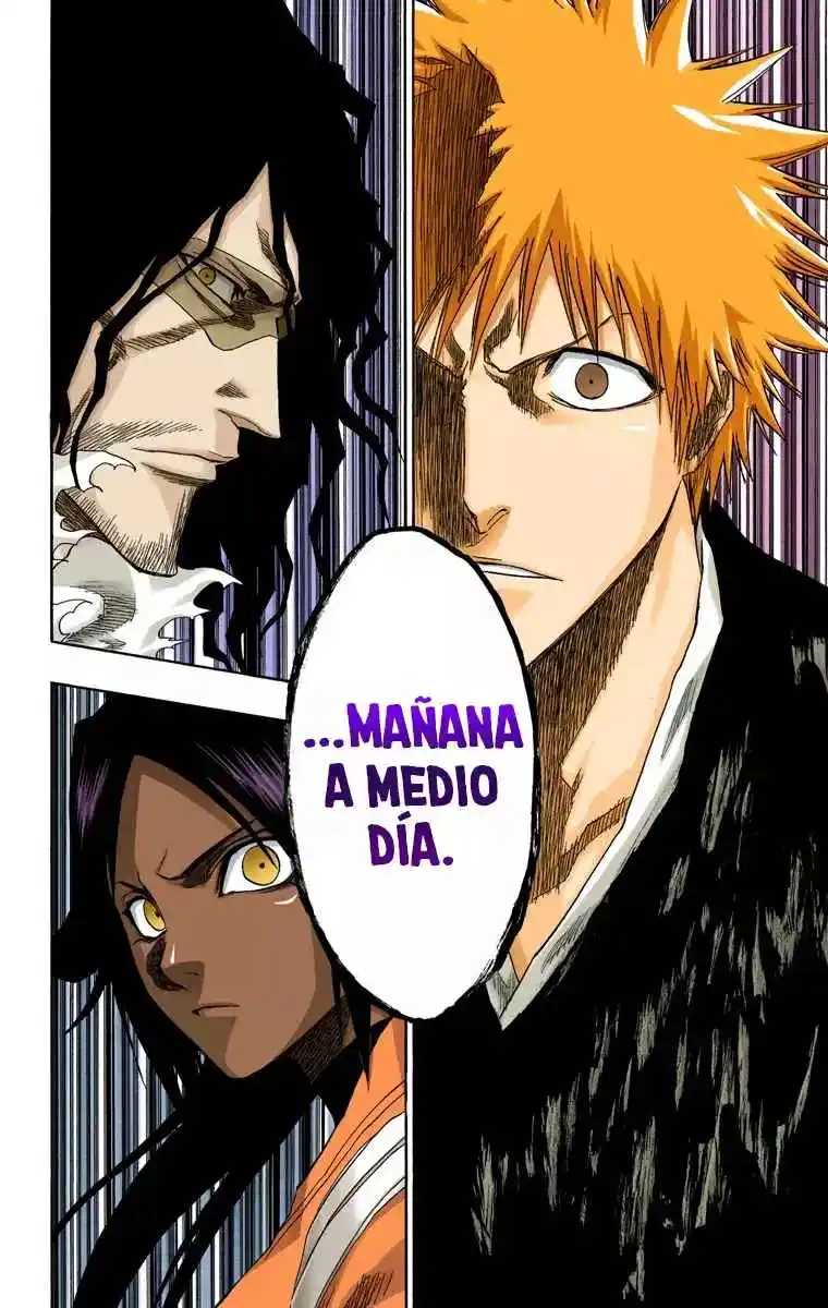 Bleach Full Color - Capítulo 133 - Página 15 - LectorTMOo
