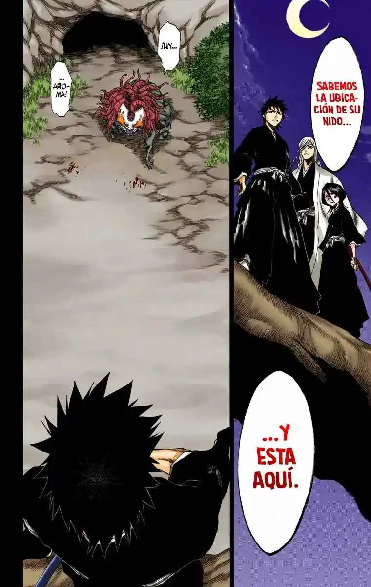 Bleach Full Color - Capítulo 134 - Página 19 - LectorTMOo