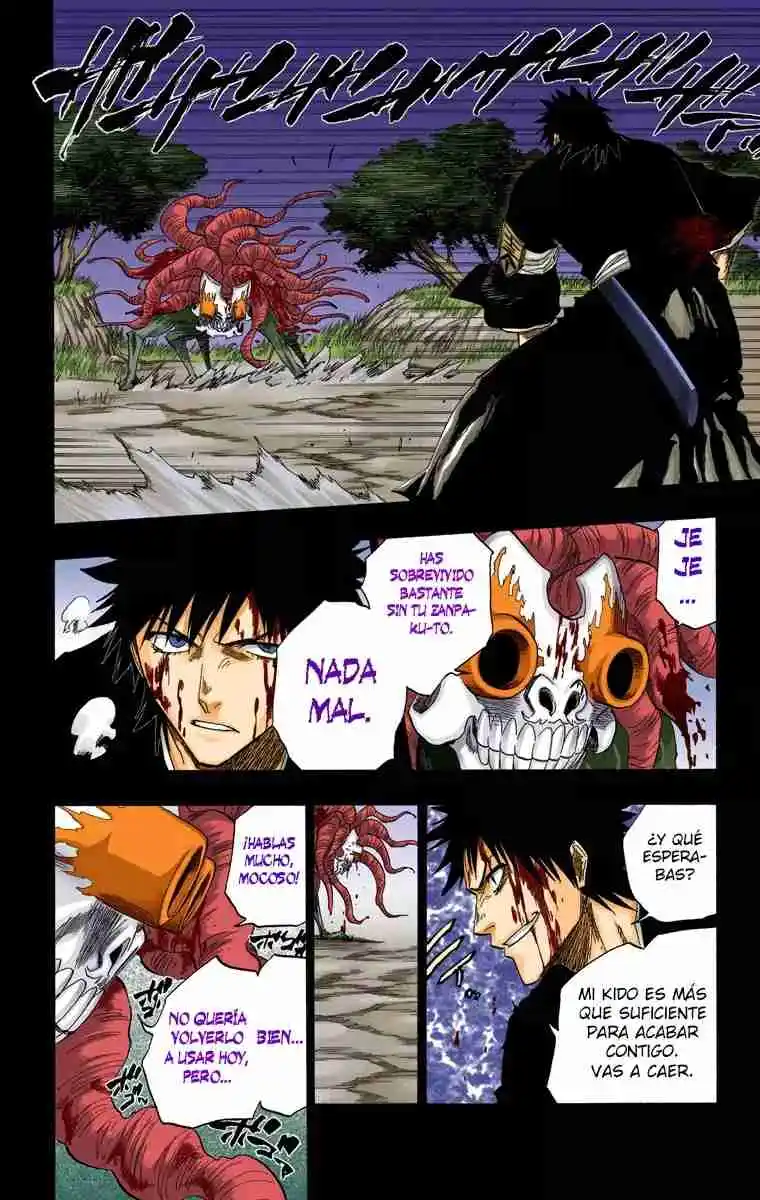Bleach Full Color - Capítulo 135 - Página 17 - LectorTMOo