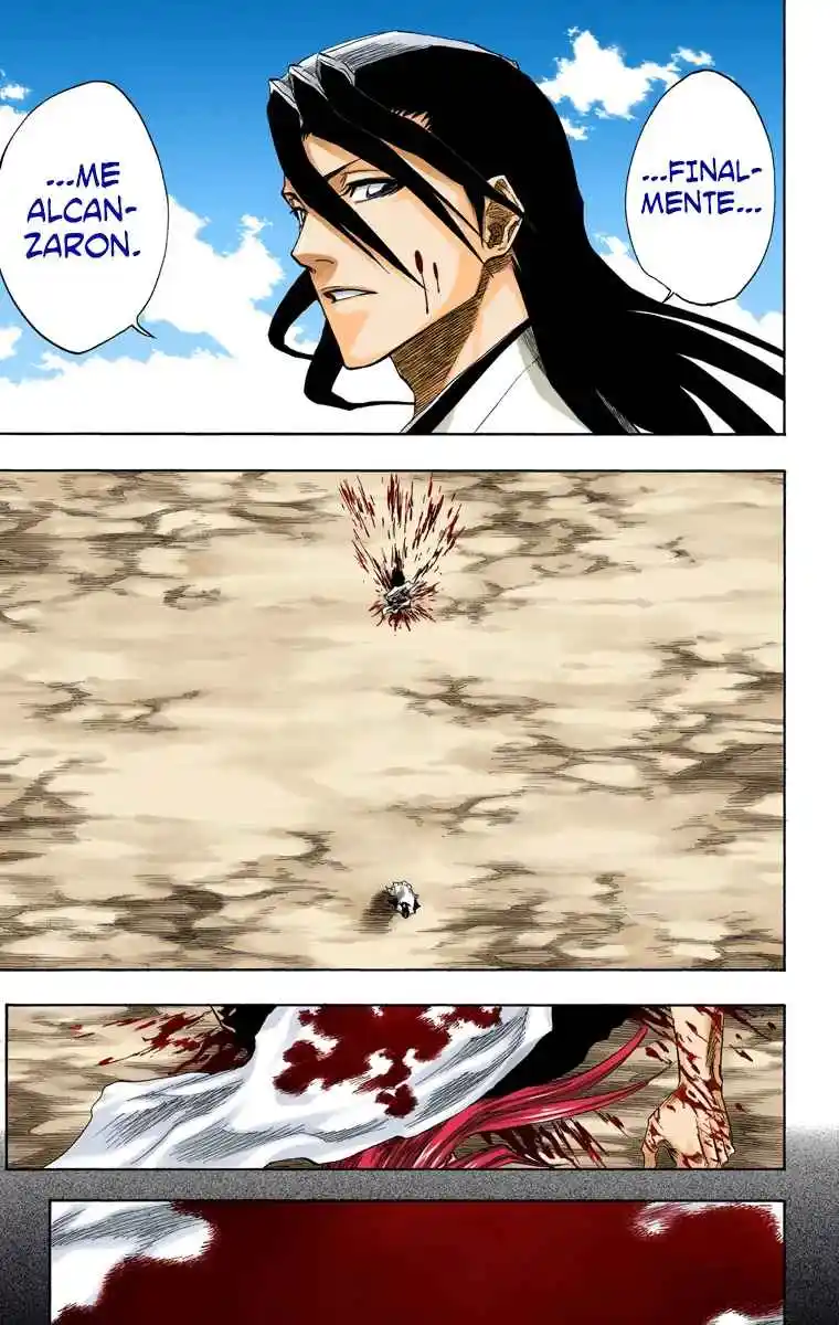 Bleach Full Color - Capítulo 144 - Página 14 - LectorTMOo