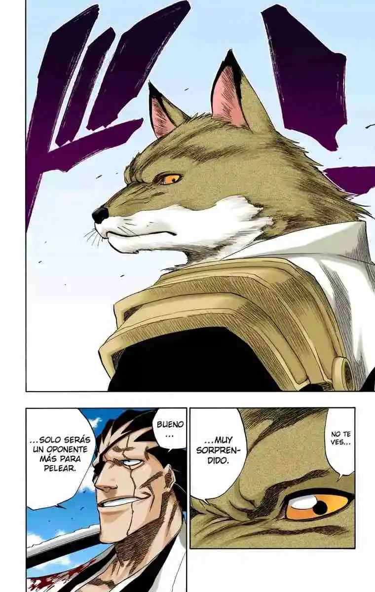 Bleach Full Color - Capítulo 148 - Página 17 - LectorTMOo