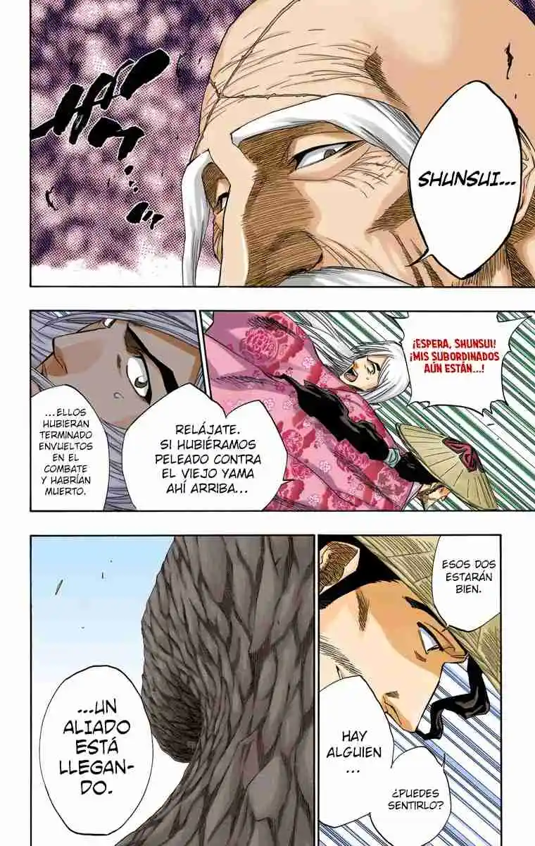 Bleach Full Color - Capítulo 153 - Página 15 - LectorTMOo