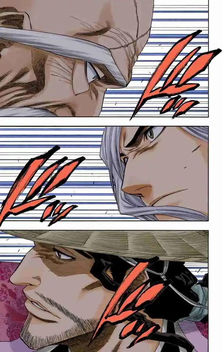 Bleach Full Color - Capítulo 155 - Página 15 - LectorTMOo