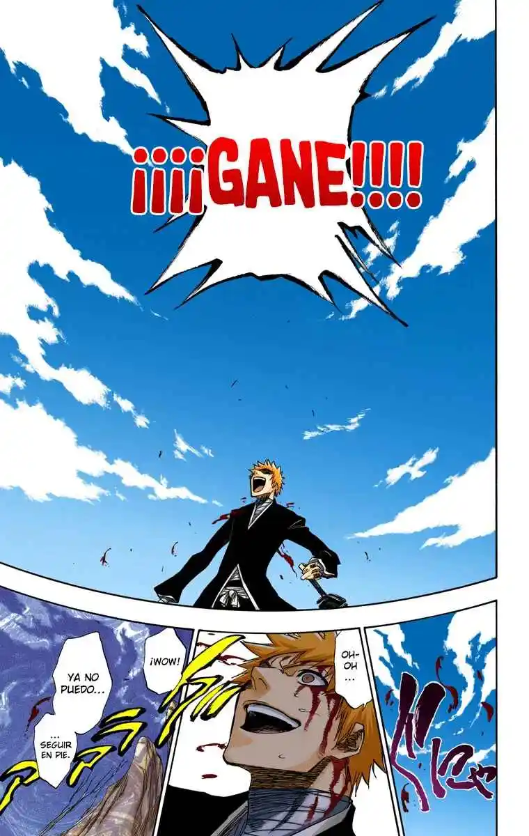 Bleach Full Color - Capítulo 167 - Página 13 - LectorTMOo