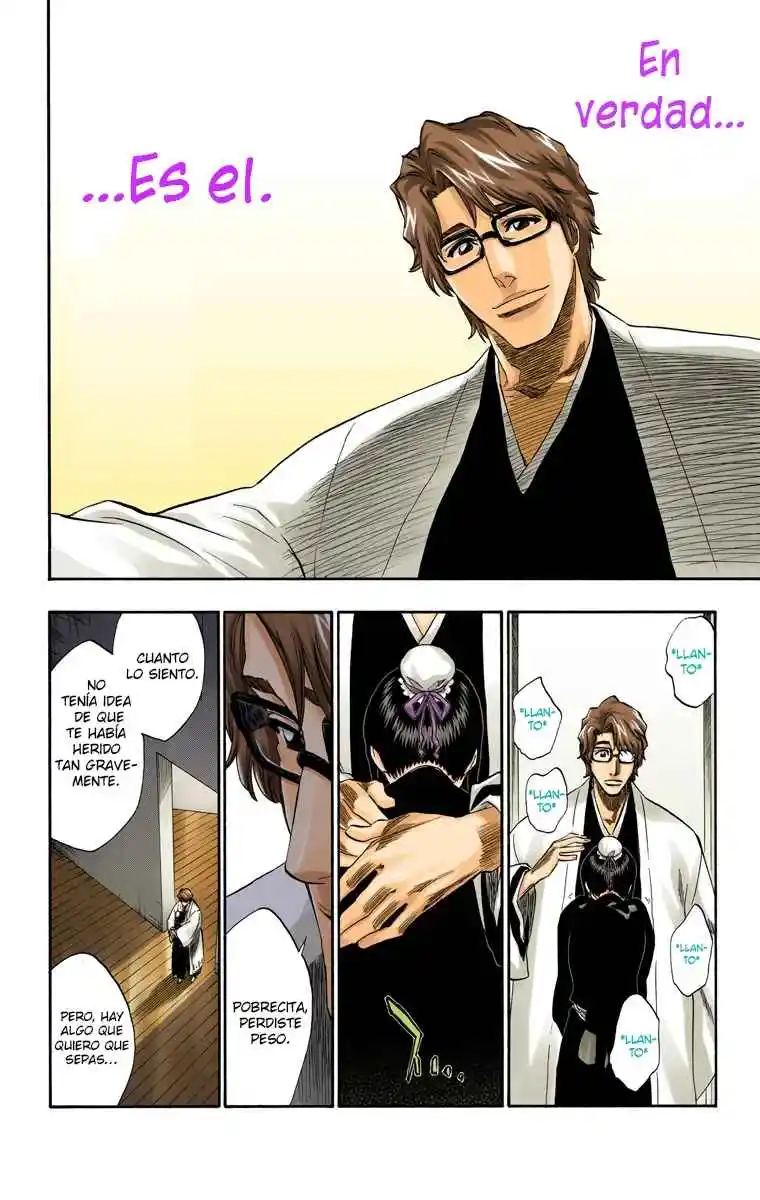 Bleach Full Color - Capítulo 169 - Página 15 - LectorTMOo