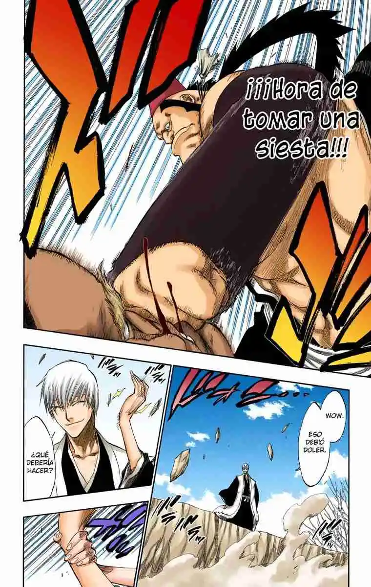 Bleach Full Color - Capítulo 177 - Página 14 - LectorTMOo