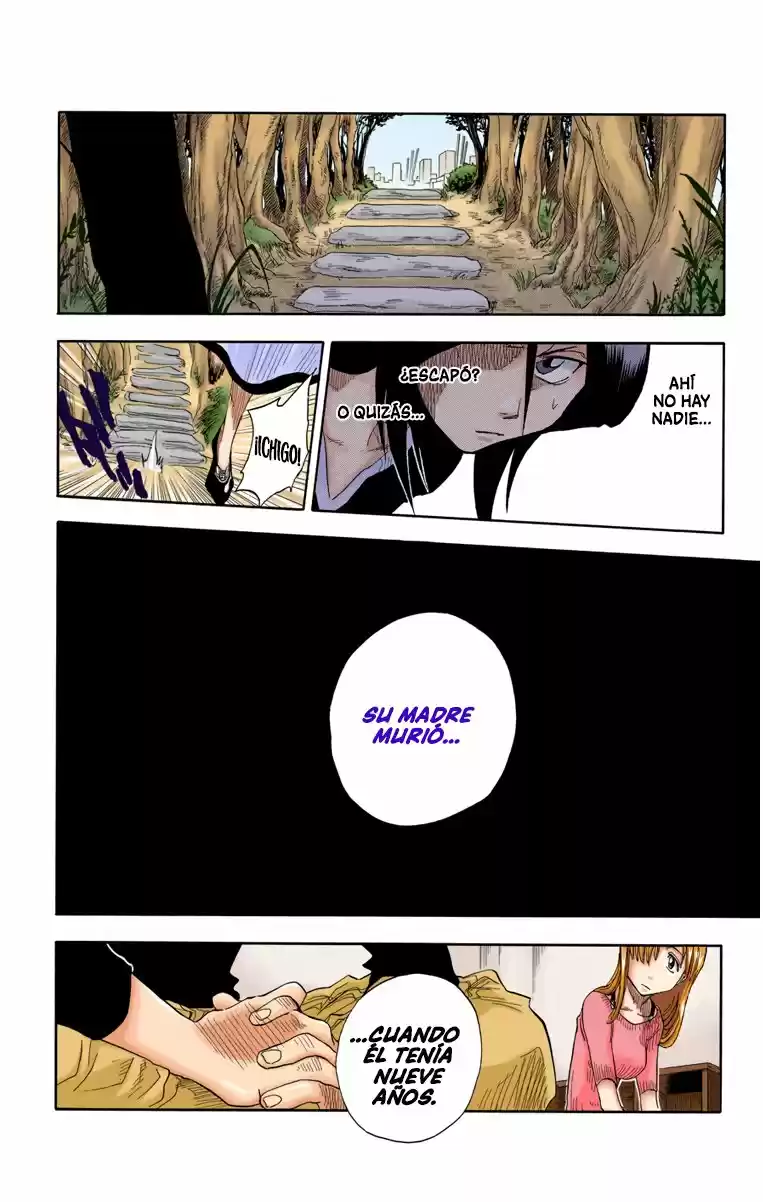 Bleach Full Color - Capítulo 18 - Página 16 - LectorTMOo