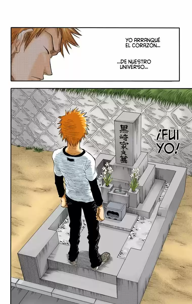 Bleach Full Color - Capítulo 19 - Página 17 - LectorTMOo