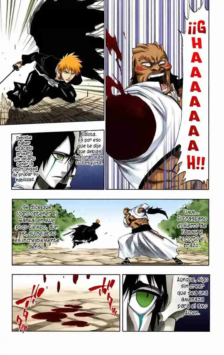 Bleach Full Color - Capítulo 193 - Página 13 - LectorTMOo
