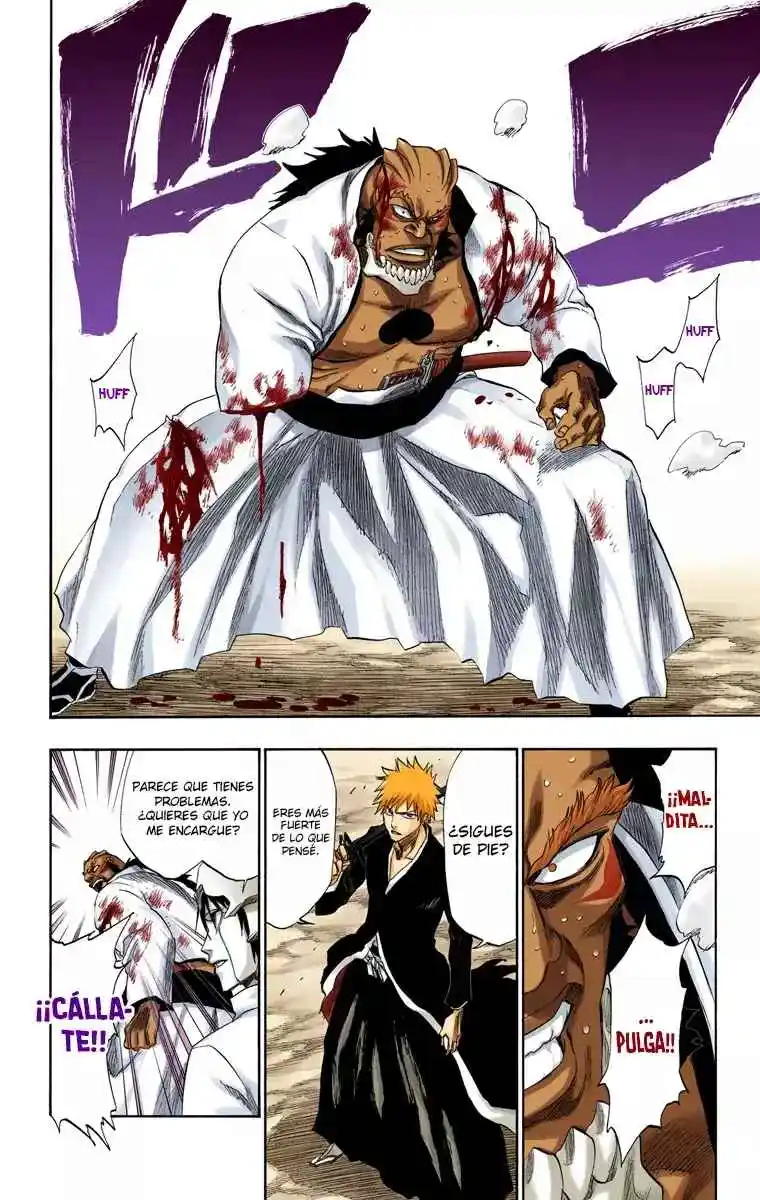 Bleach Full Color - Capítulo 193 - Página 14 - LectorTMOo