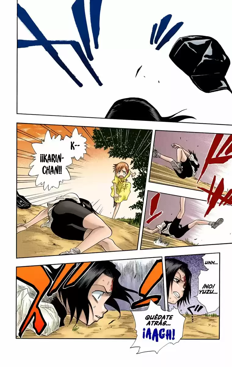 Bleach Full Color - Capítulo 20 - Página 15 - LectorTMOo