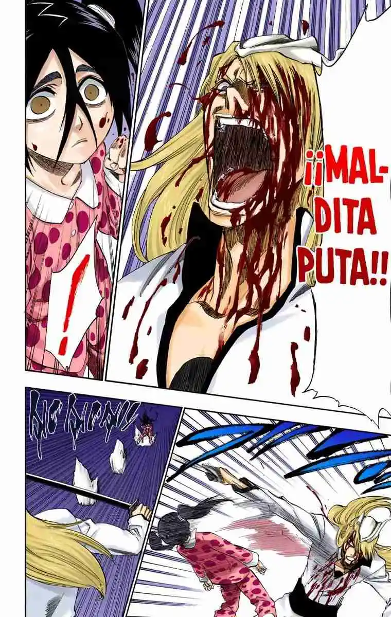 Bleach Full Color - Capítulo 207 - Página 17 - LectorTMOo