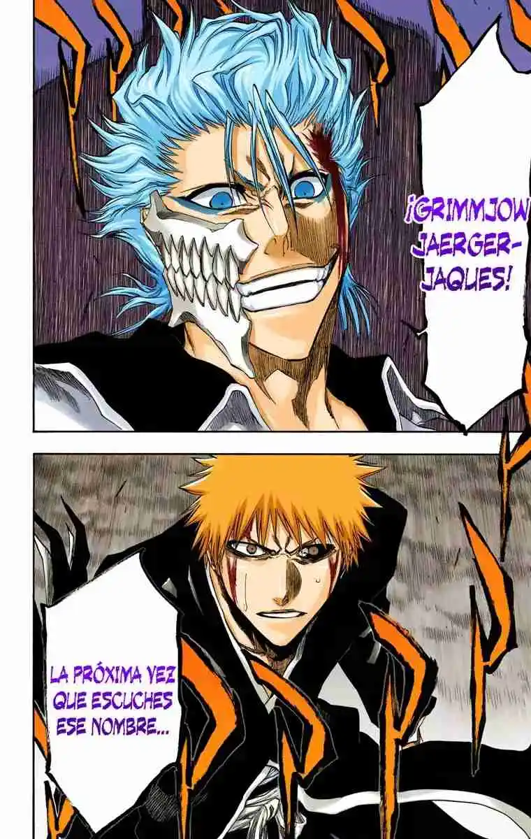 Bleach Full Color - Capítulo 212 - Página 15 - LectorTMOo