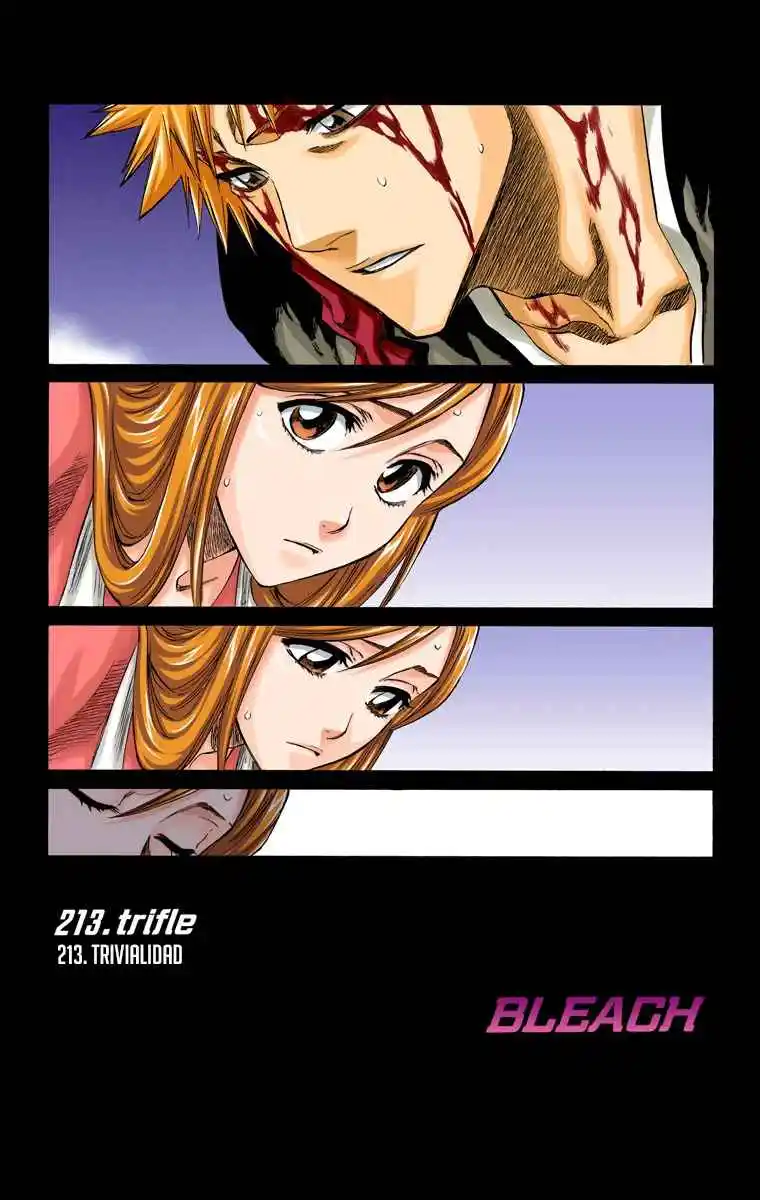 Bleach Full Color - Capítulo 213 - Página 9 - LectorTMOo