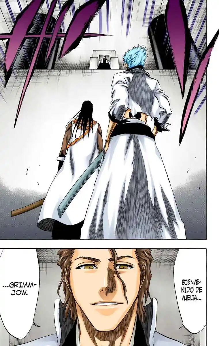 Bleach Full Color - Capítulo 213 - Página 10 - LectorTMOo