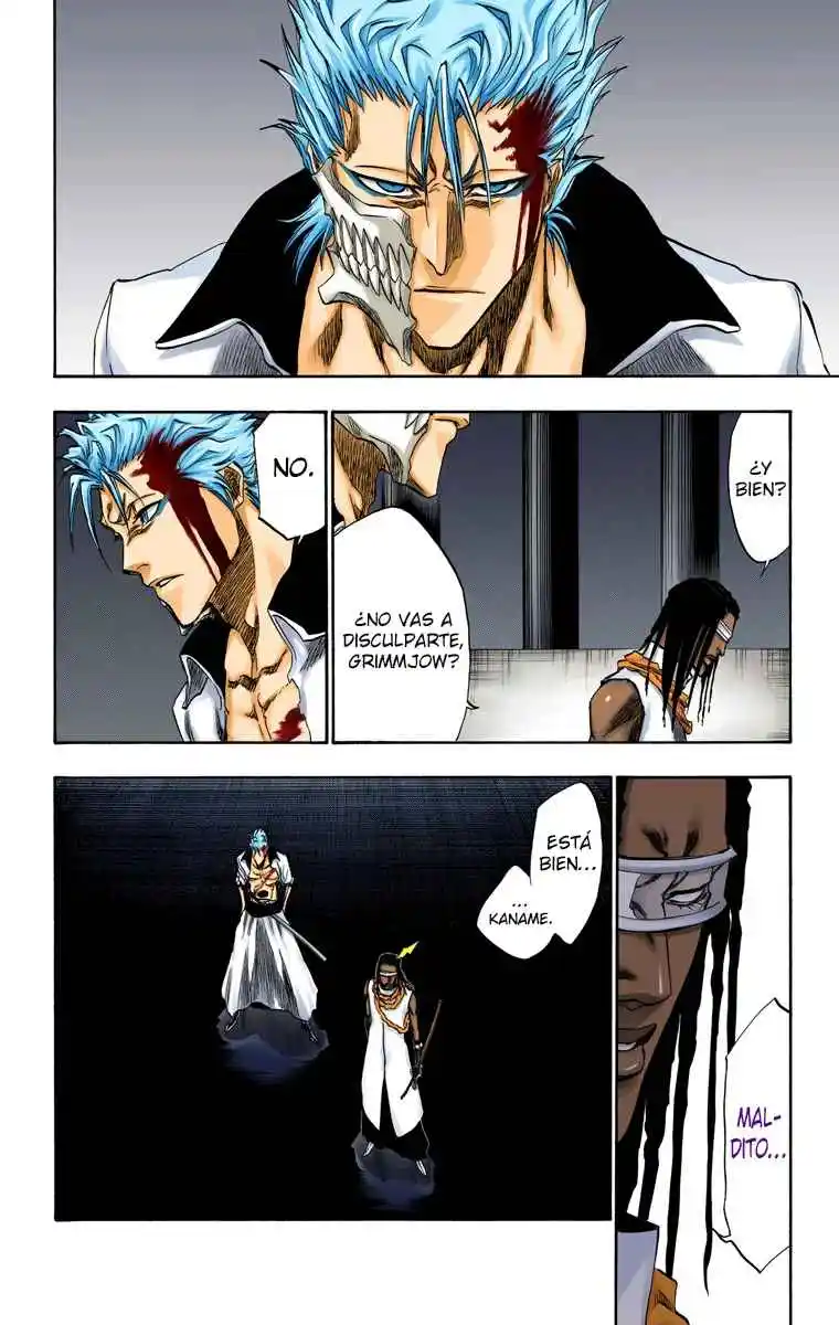 Bleach Full Color - Capítulo 213 - Página 11 - LectorTMOo