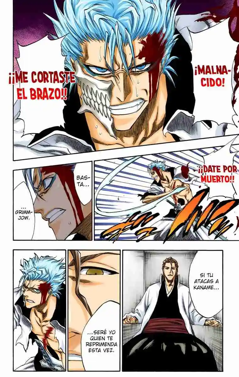 Bleach Full Color - Capítulo 213 - Página 17 - LectorTMOo